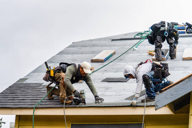 Professional Storm Damage Roof Repair technician working in Delanson, NY